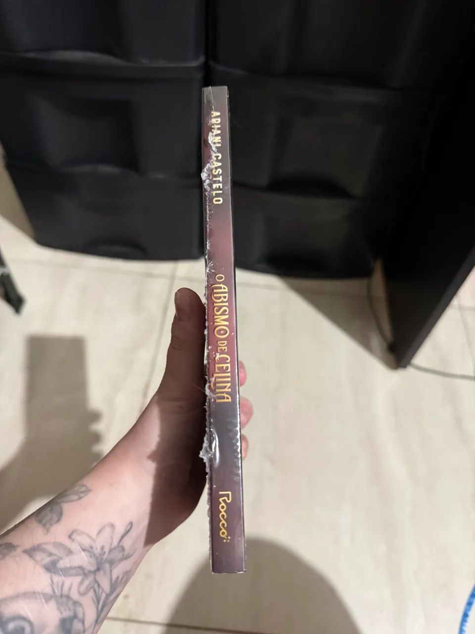 Livro Abismo de Celina  - Foto 3