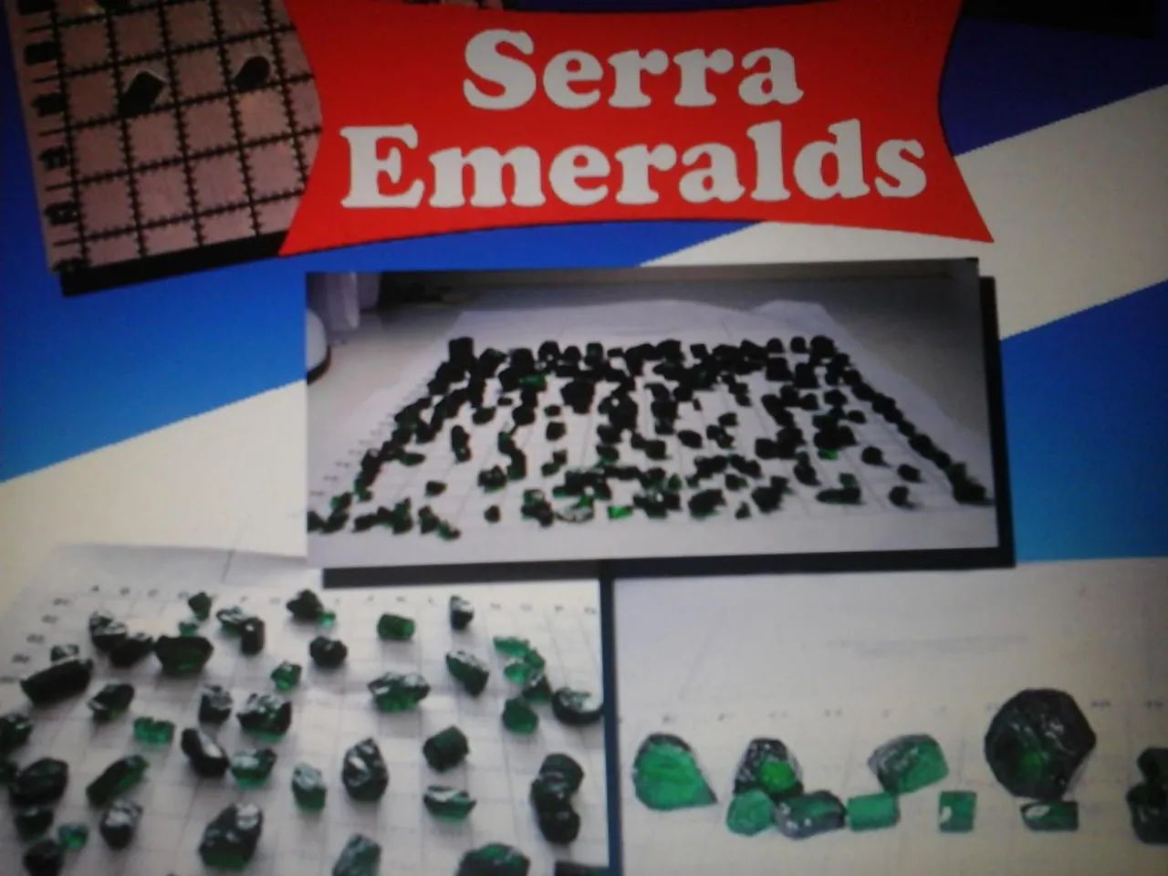 Oportunidade - setor de pedras preciosas e exportação<br><br> - Foto 5