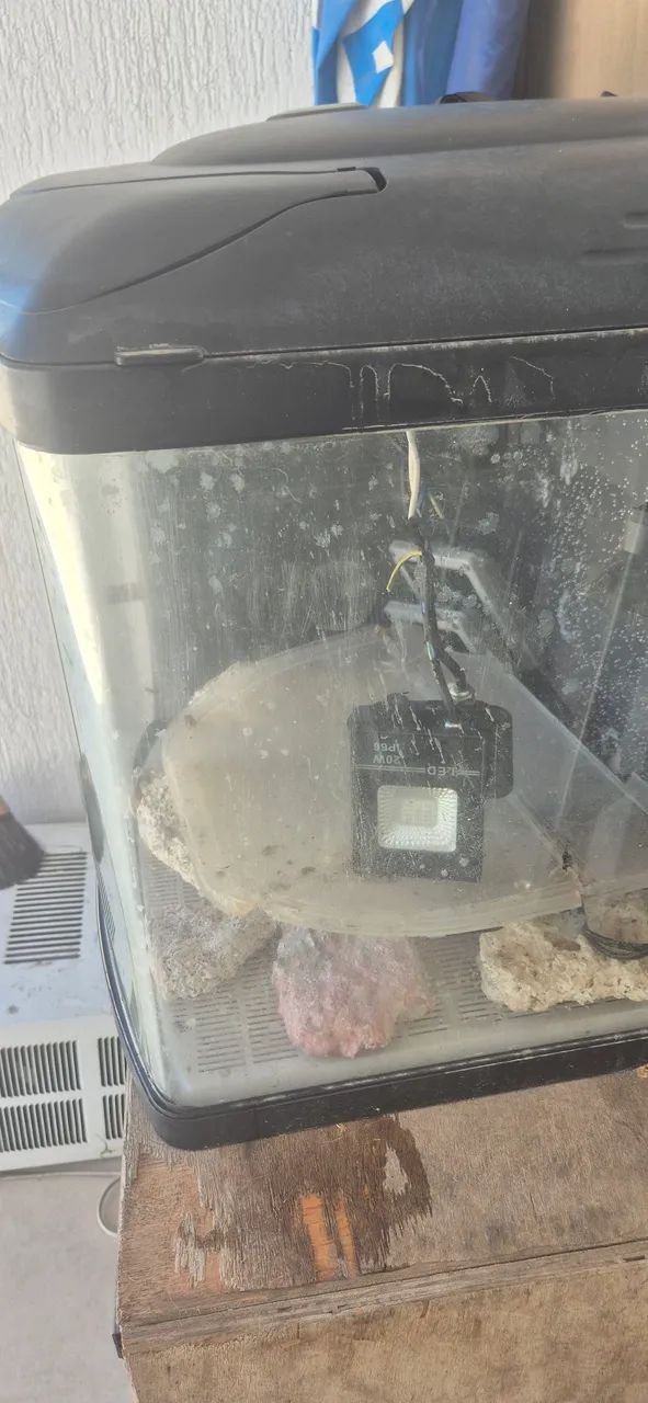 Doação - aquário - Foto 2