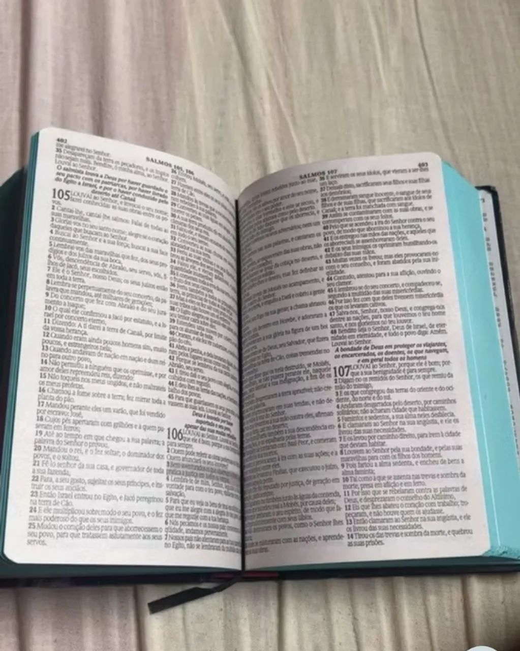 Biblia com Harpa com letra media - Foto 3