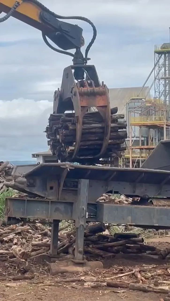 Grua florestal