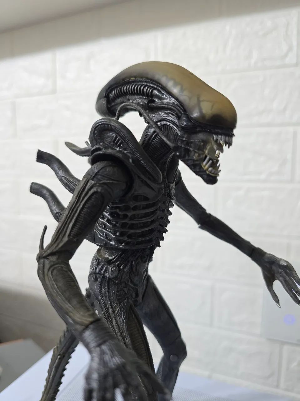 Alien Neca Xenomorfo Original - Foto 2