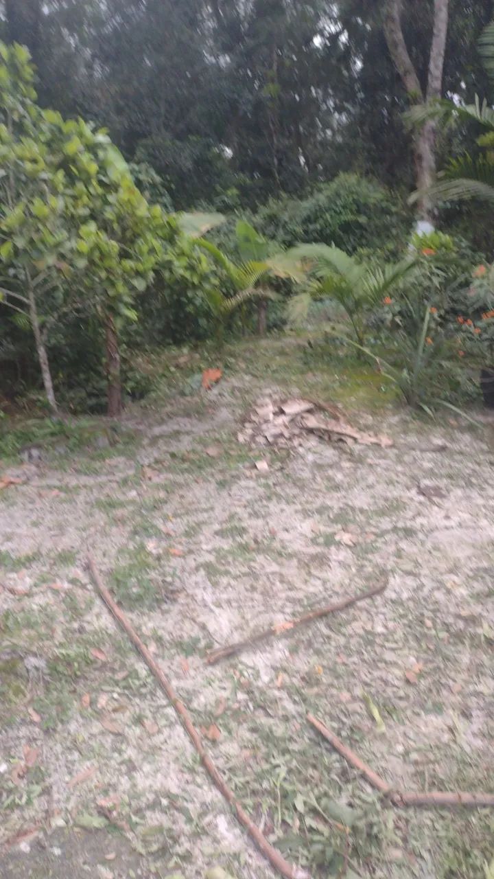 Vendo esse lote . - Foto 3