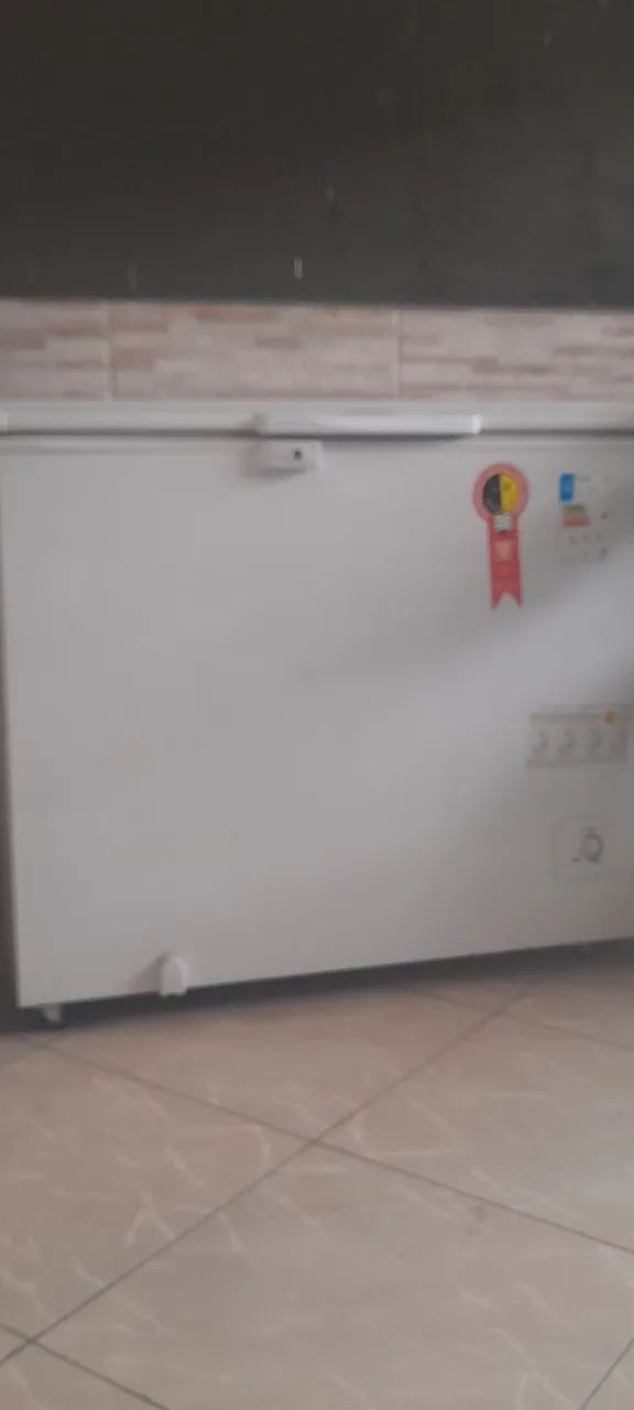 Freezer Electrolux 