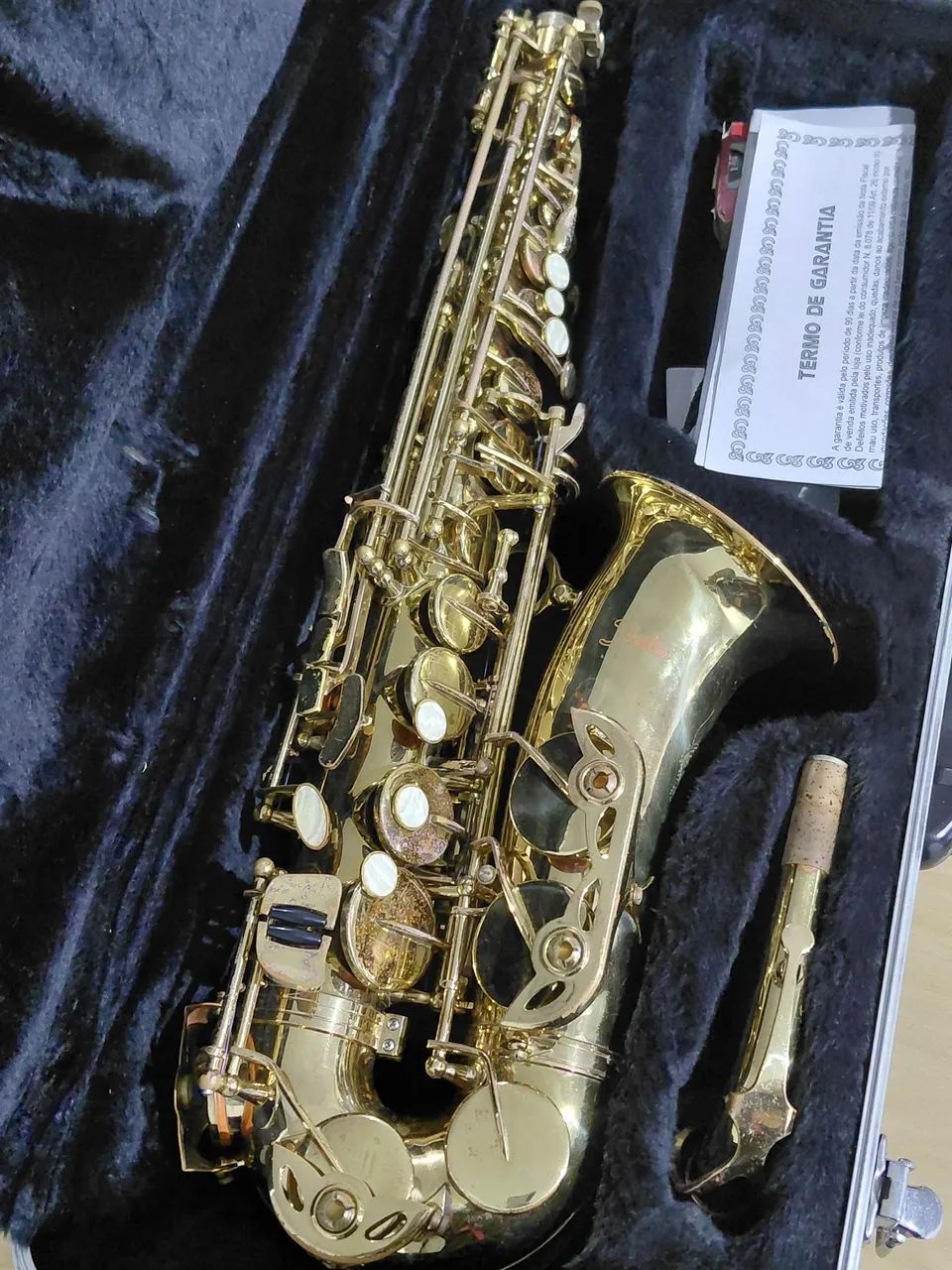 Saxophone Alto Shelter