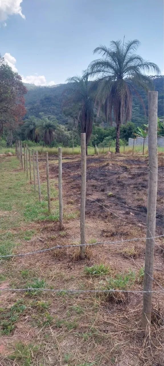 lote caete mg