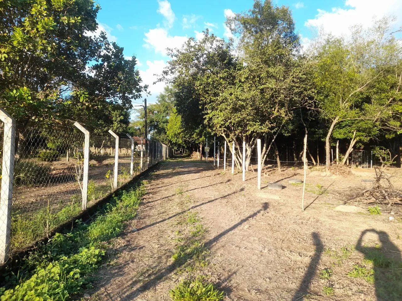 Terreno para rancho lagoa preta serra azul - Foto 5
