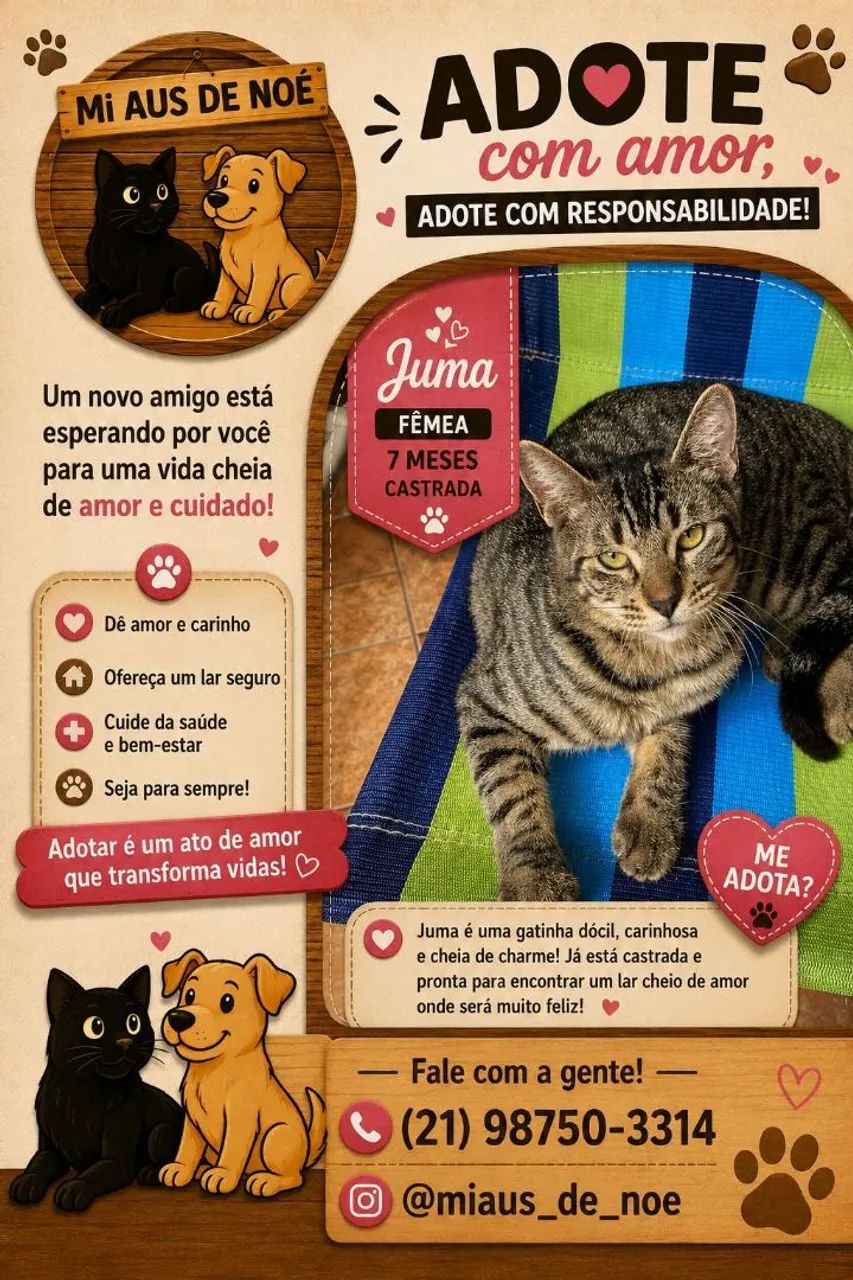 Gata para adoção  - Foto 2
