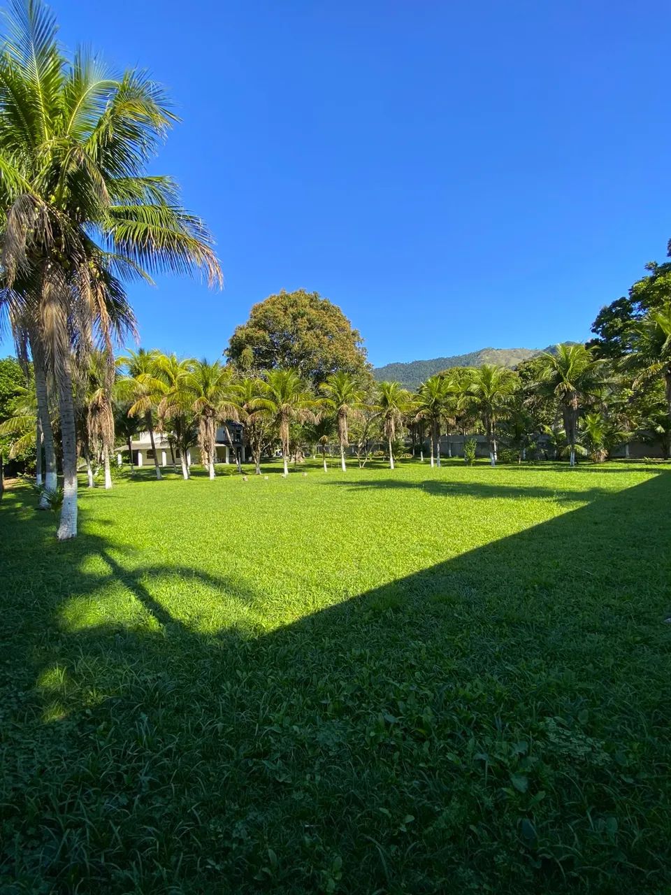 (V) Itaguaí, Sítio com casa duplex. - Foto 4