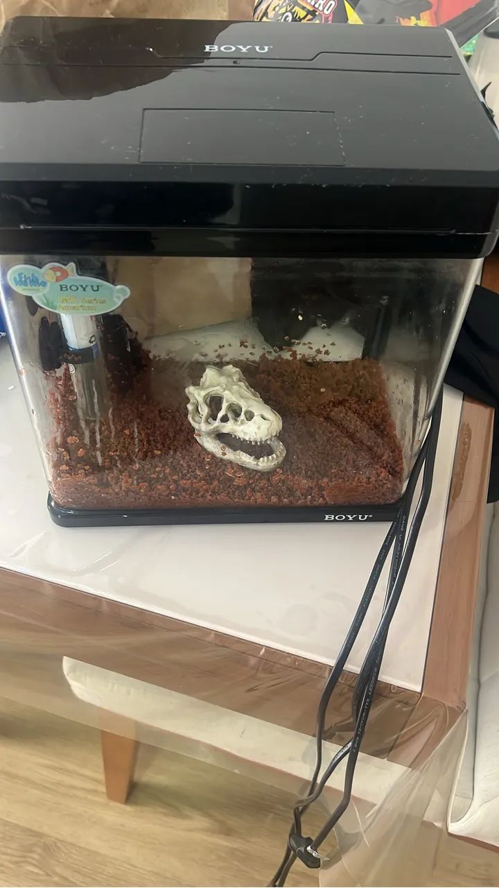 Aquário Boyu Curvo MS 220 7,5 Litros Preto + Termostato Hopar 25w + Termômetro Digital - Foto 2