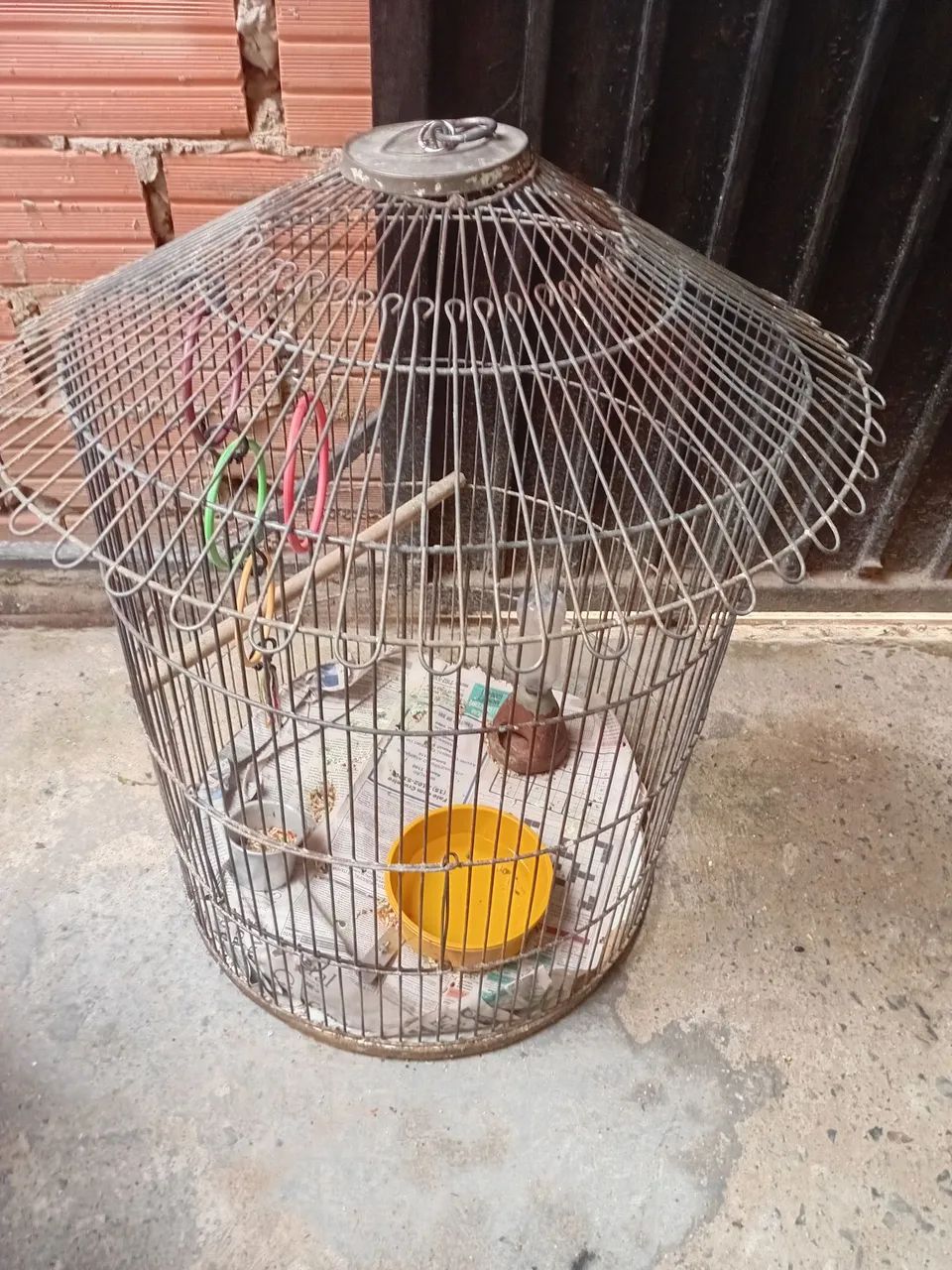 Gaiola