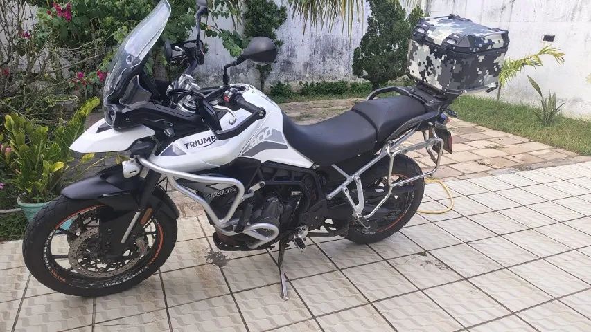 Tiger 900 GT pro 