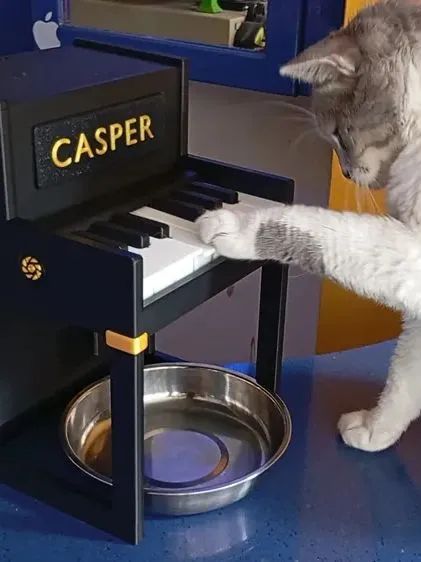 Coisas para seu pet