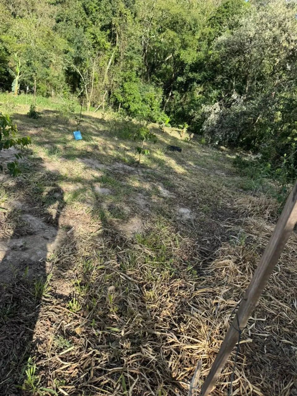 Foto - Campinas - Parque União da Vitória