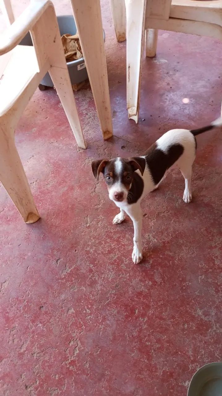 Doação  - Foto 2
