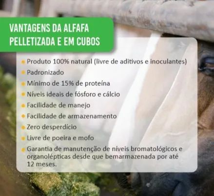 ALFAFA EM CUBOS PARA CAVALOS  - Foto 3