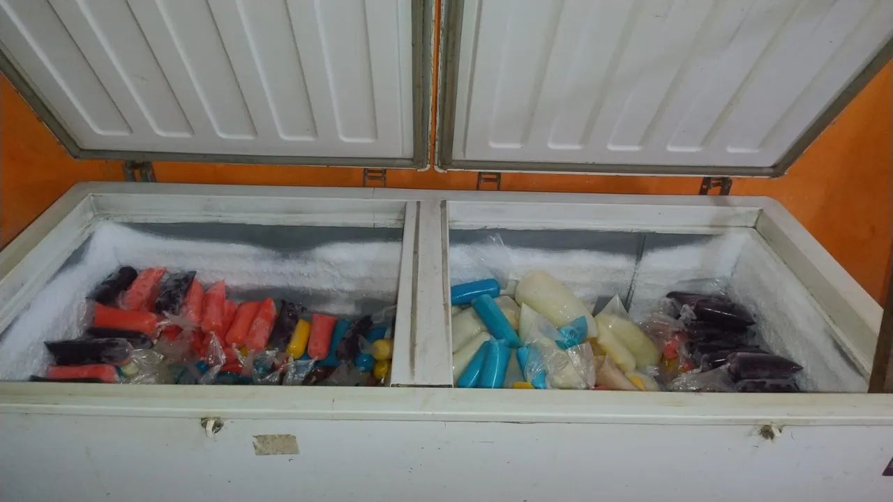 Vendo Freezer 500 Litros - Foto 3