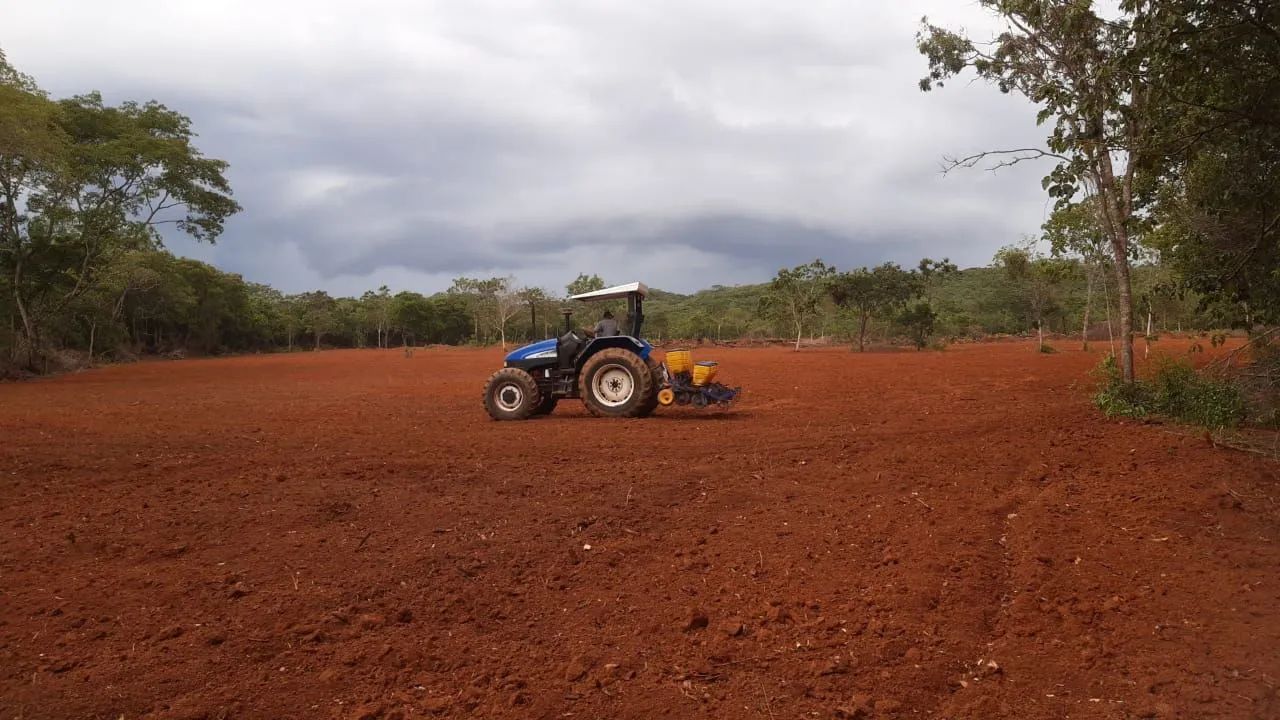 Fazenda DF Planaltina/Sobradinho 