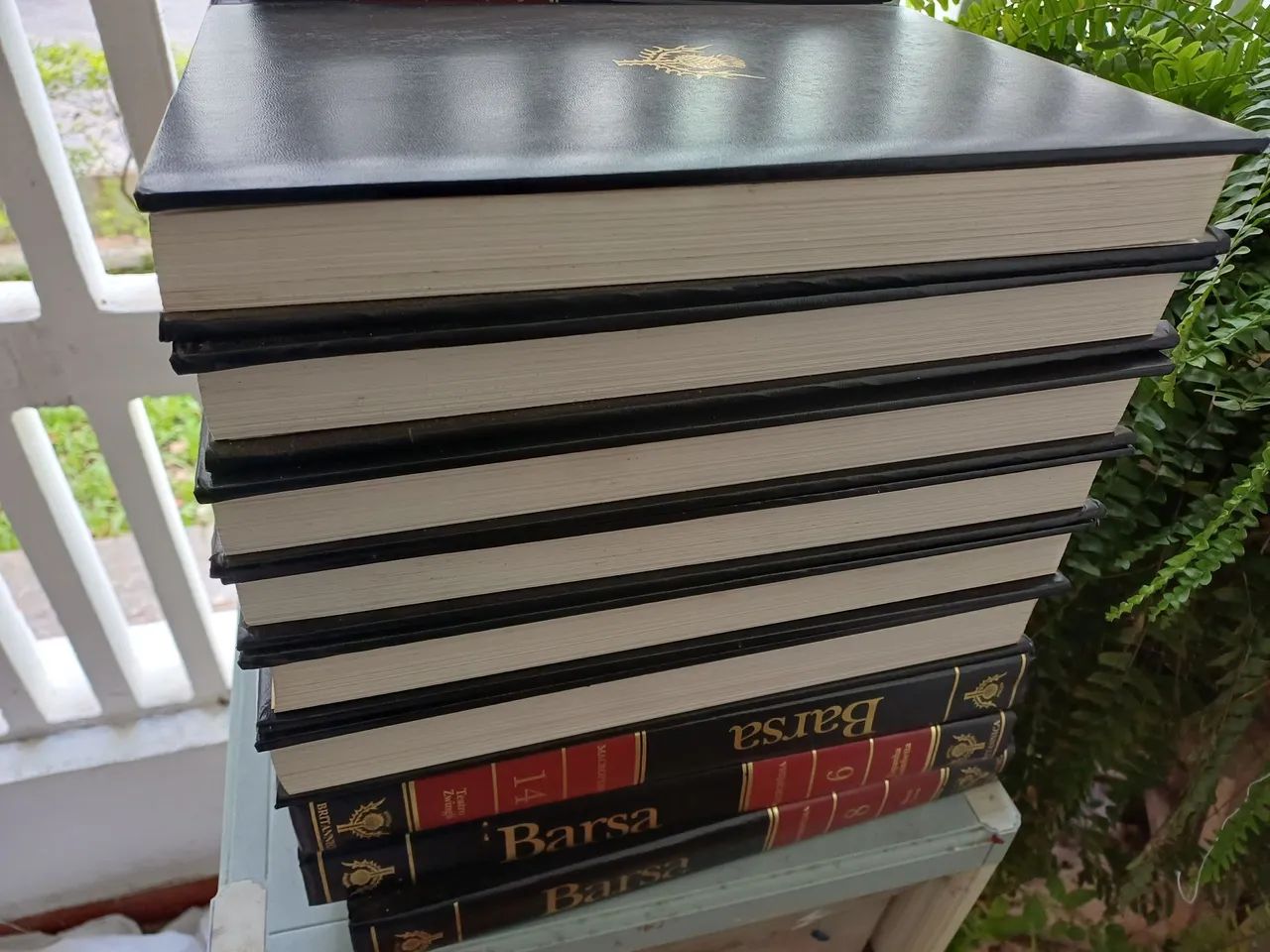 Enciclopédia Barsa  - Foto 2