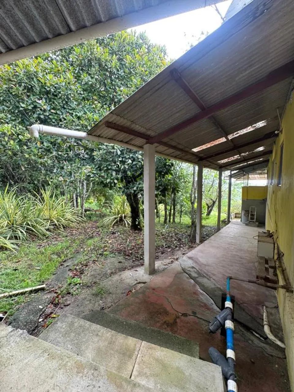 7.75 Hectares | Sítio | 06 quartos | R$ 680 mil | Chã Grande - Foto 5