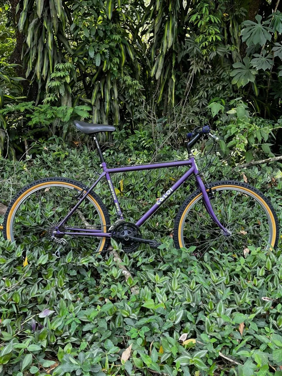 Caloi aspen 26 