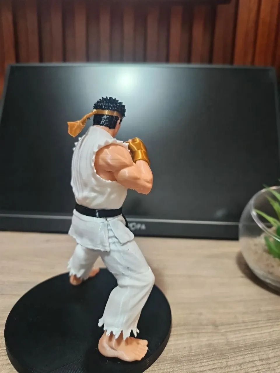 Ryu Street fighter  - Foto 2