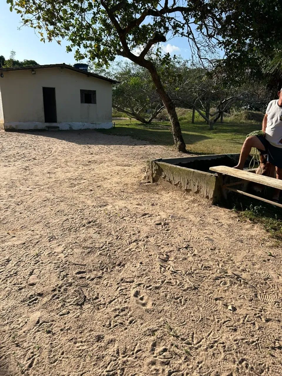 Granja com mais  9000m2  - São José de Mipibu - RN