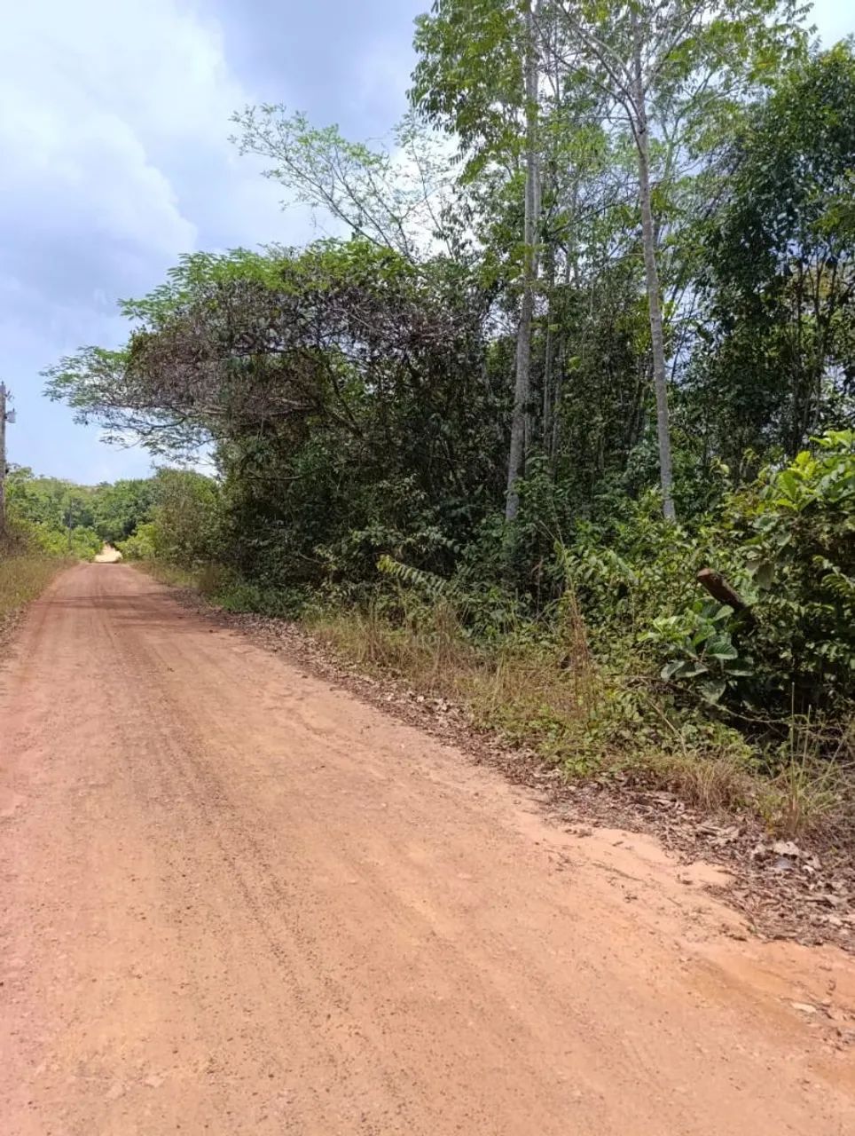 Terreno 