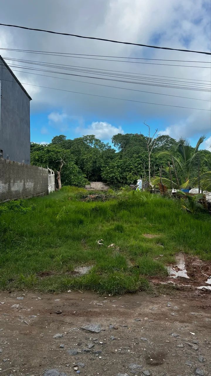 Terreno grande com um rio em frente 