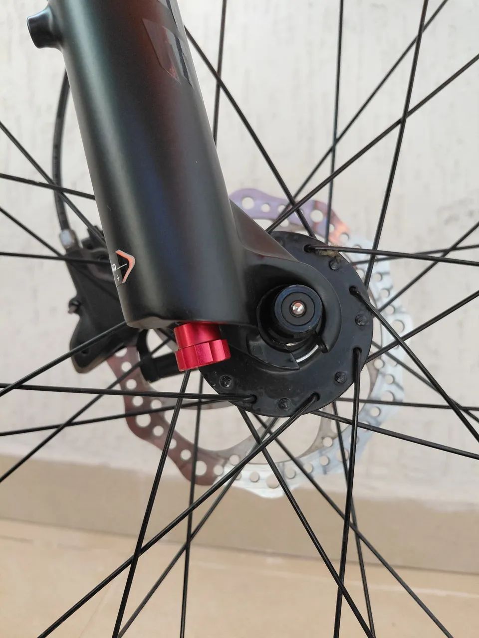 Bicicleta Audax  - Foto 5