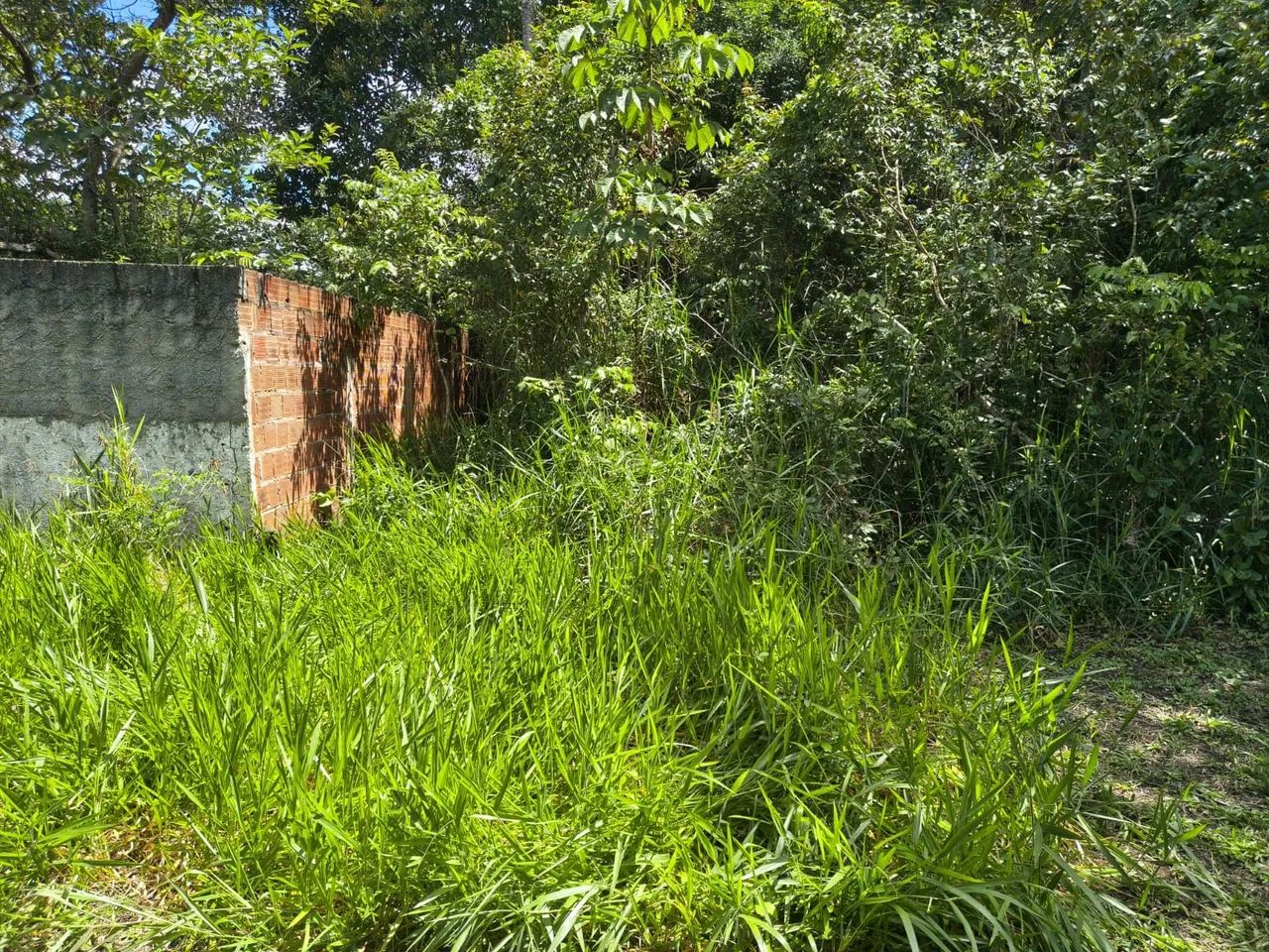Terreno em Aldeia 12x50  - Foto 2
