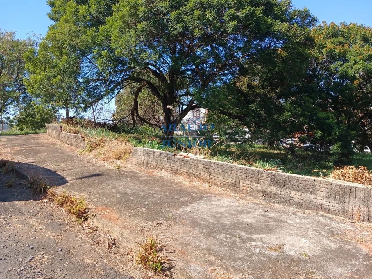 TERRENO CENTRO - Foto 5