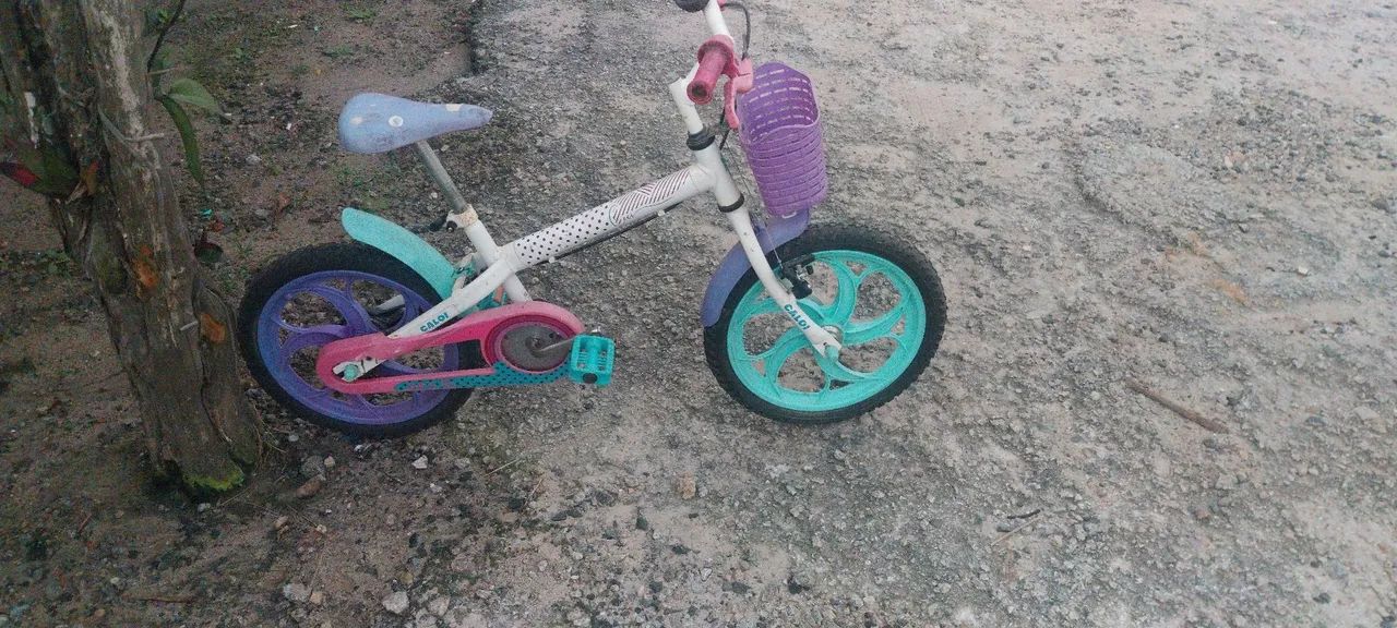 Bicicleta  - Foto 2