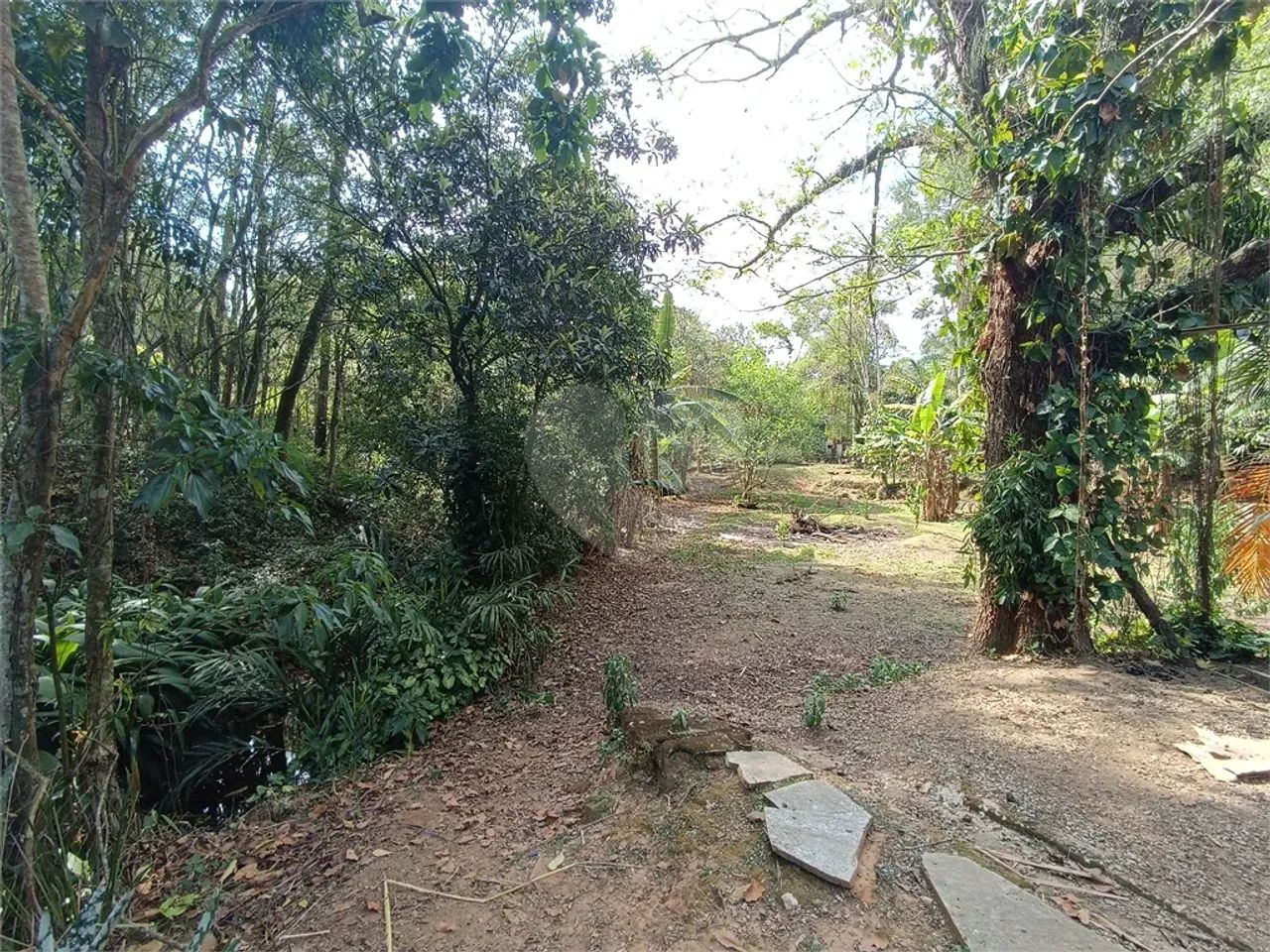 Chacara com 2 casas a venda - Foto 2