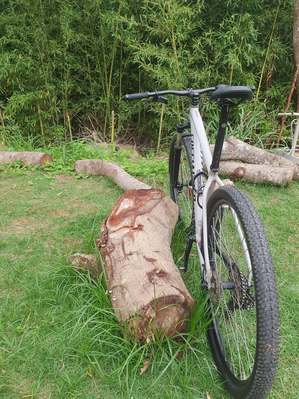 Vendo specialized Rockhopper - Foto 2