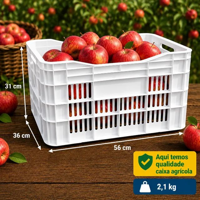 Caixa Plástica Direto da fábrica 