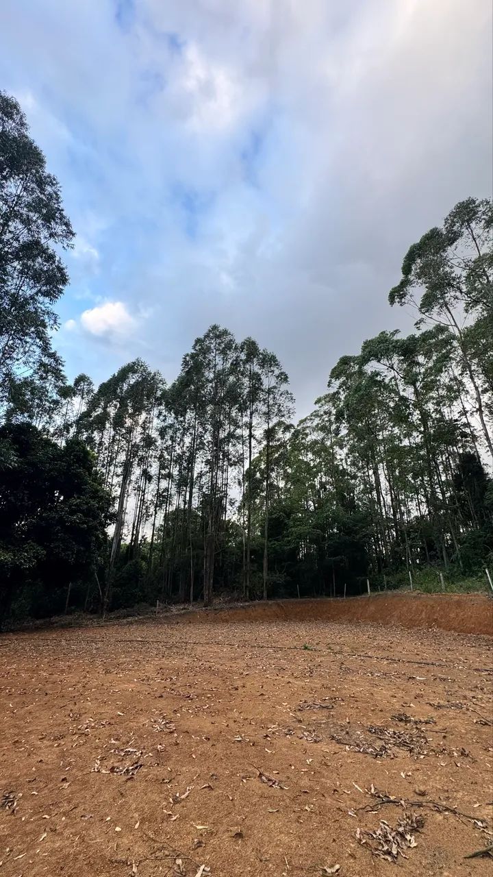 Sítio pronto para construir a venda 