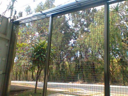 Casa exclusiva ,com 600 M ²no Bairro Belvedere - Foto 14