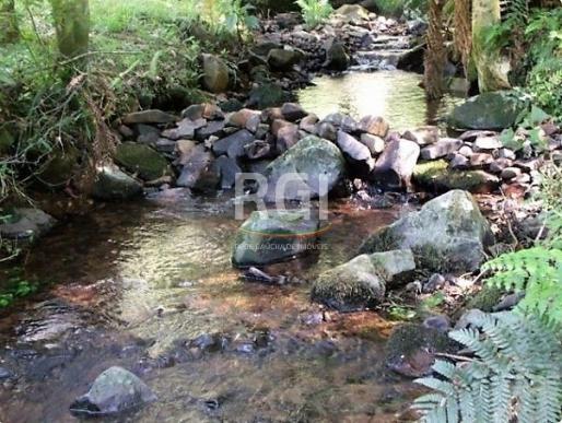 Sítio à venda em Zona rural, São francisco de paula cod:LI50877651 - Foto 2
