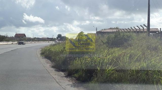 Excelente Lote Às Margens da BR 232 - Gravatá/PE / Propriedade ID : L0588