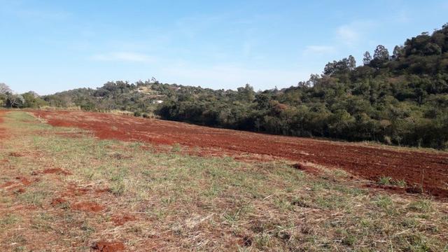Chácara Venda Ibiporã Próximo Recanto do Engenho - Foto 10