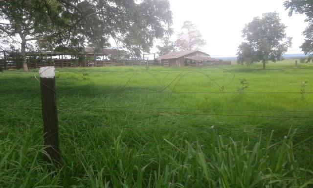 8271 | fazenda à venda em pontal do araguaia - Foto 3