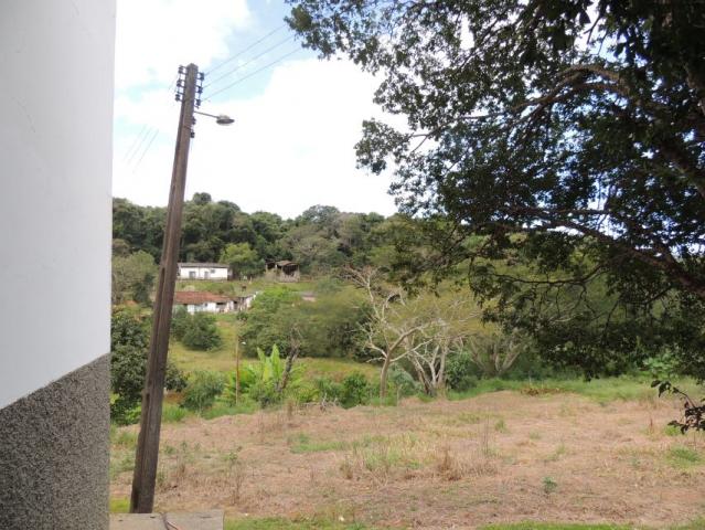 Sítio à venda em Zona rural, Bragança paulista cod:OLX573 - Foto 5