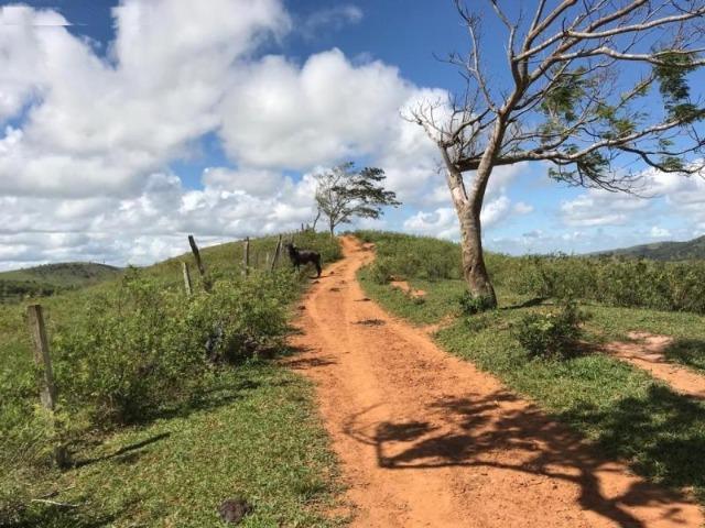 Vende-se Fazenda 425,98 ha no Extremo Sul da Bahia - Itanhém - Foto 4