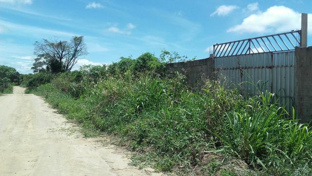 Oportunidade lote para chácara no Lindóia apenas 90 mil - Foto 2