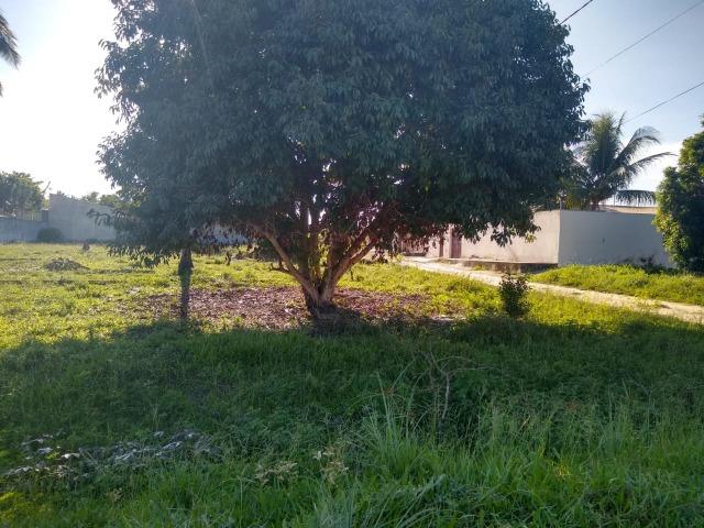 Vendo Terrenos no mosqueiro, no Loteamento São Jorge escriturados - Foto 9