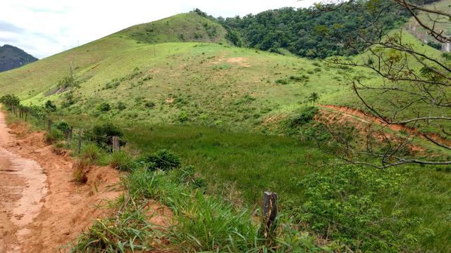 Fazenda de 40 Alqueires - Foto 11