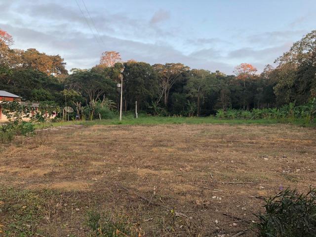 Fazenda produtora de Cacau em Linhares 70mil - Foto 2