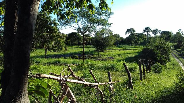 Sítio Barrocão - Foto 8