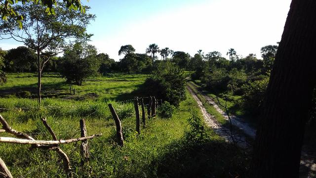 Sítio Barrocão - Foto 6